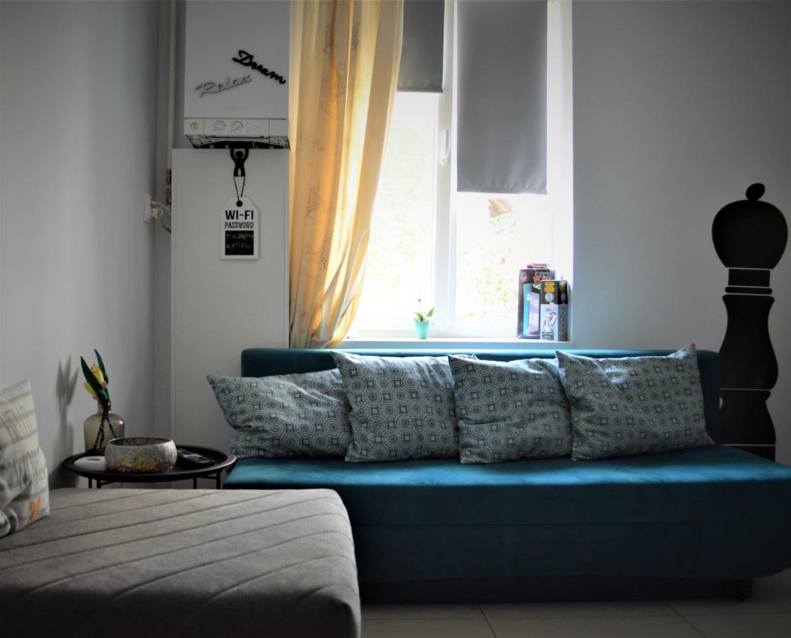 Villa Sunny Town House à Braşov Extérieur photo