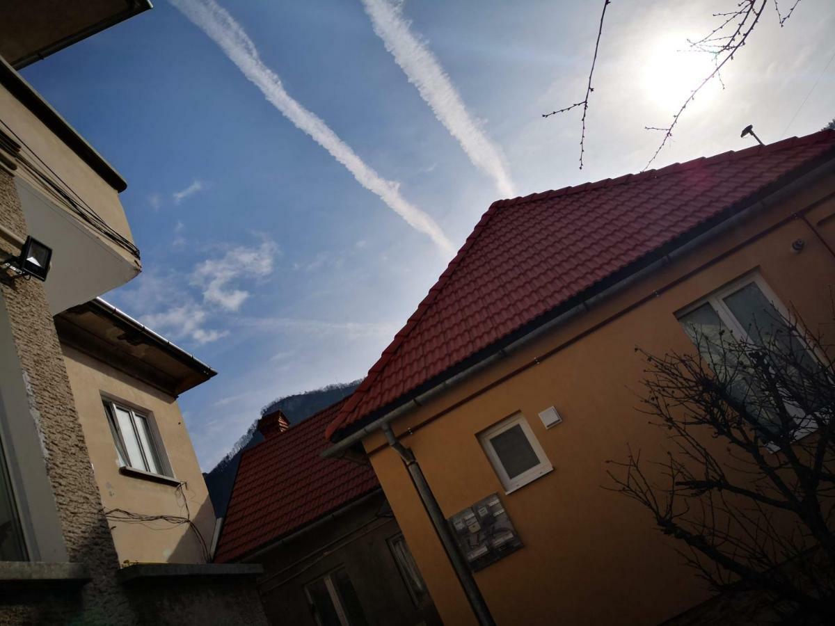 Villa Sunny Town House à Braşov Extérieur photo