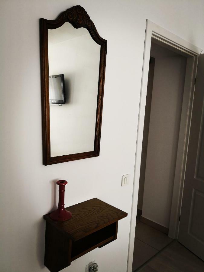 Villa Sunny Town House à Braşov Extérieur photo